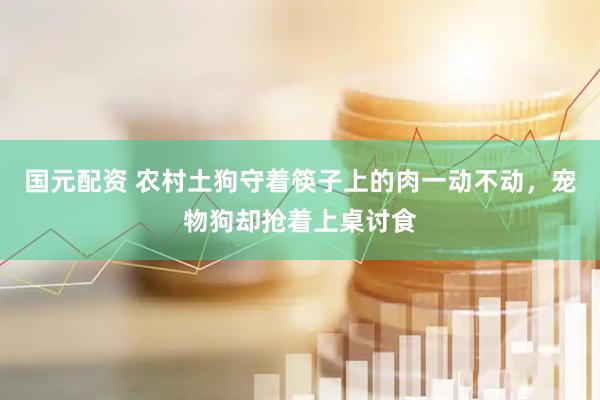 国元配资 农村土狗守着筷子上的肉一动不动，宠物狗却抢着上桌讨食