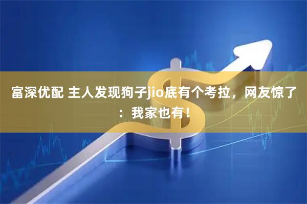 富深优配 主人发现狗子jio底有个考拉，网友惊了：我家也有！