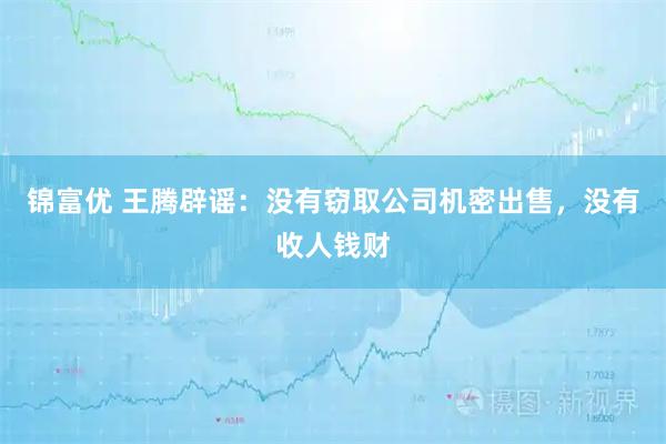 锦富优 王腾辟谣：没有窃取公司机密出售，没有收人钱财