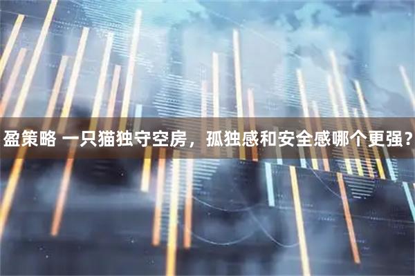 盈策略 一只猫独守空房，孤独感和安全感哪个更强？