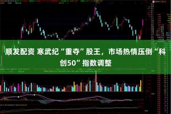 顺发配资 寒武纪“重夺”股王，市场热情压倒“科创50”指数调整