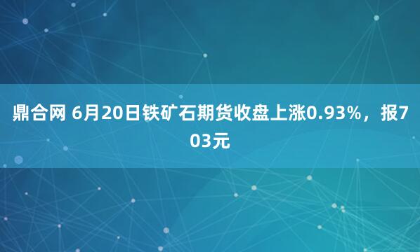 鼎合网 6月20日铁矿石期货收盘上涨0.93%，报703元