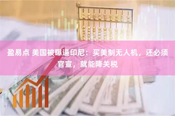 盈易点 美国被曝逼印尼:买美制无人机,还必须官宣,就能降关税