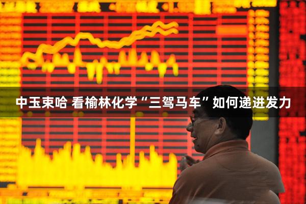 中玉束哈 看榆林化学“三驾马车”如何递进发力